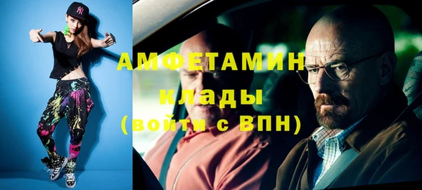 МДПВ Пересвет